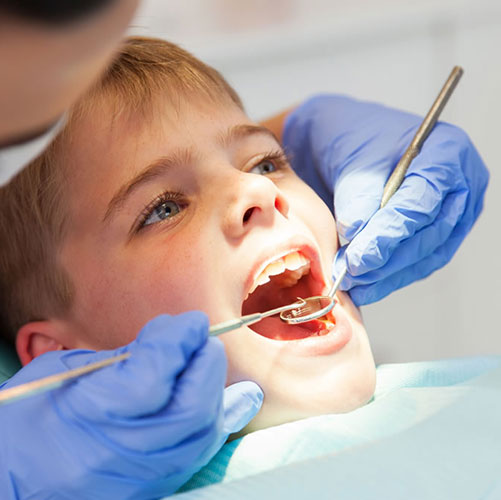 nearest dentist examing little boy